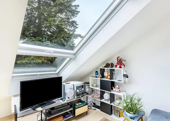 Kuckucksnest * フィリンゲン・シュヴェニンゲン